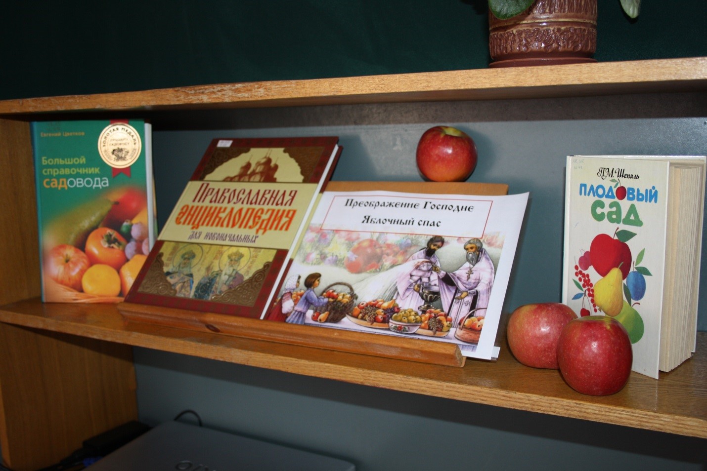 Книжная выставка о яблоках