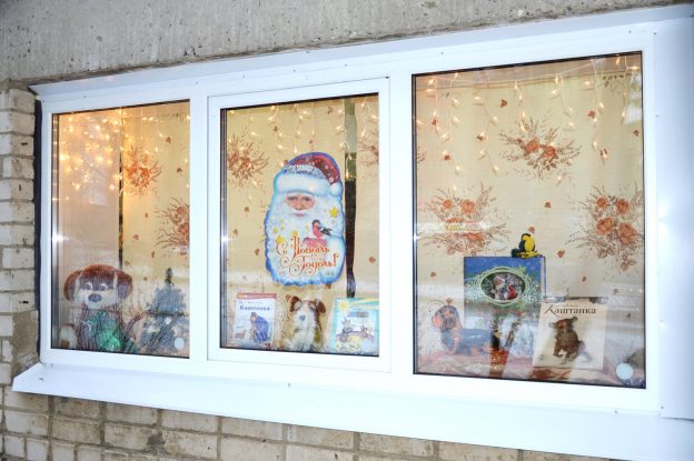 Раз — собака, два — собака… Видеовыставка в Чеховке