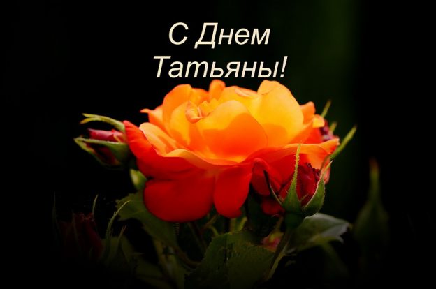 Литературно-развлекательная программа «И вновь январь, и снова день Татьяны…»