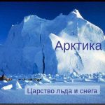 Познавательное путешествие в Арктику «В царстве льда и снега»