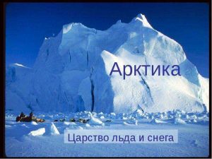Познавательное путешествие в Арктику «В царстве льда и снега»