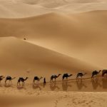 Виртуальное путешествие «Средняя Азия глазами туриста»