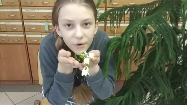 Буктрейлер «Двенадцать месяцев»