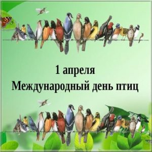 День Информации, посвященный Международному дню птиц