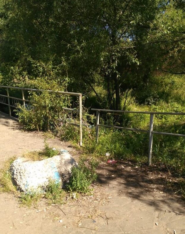 Cубботник вдоль русла реки Дунайки