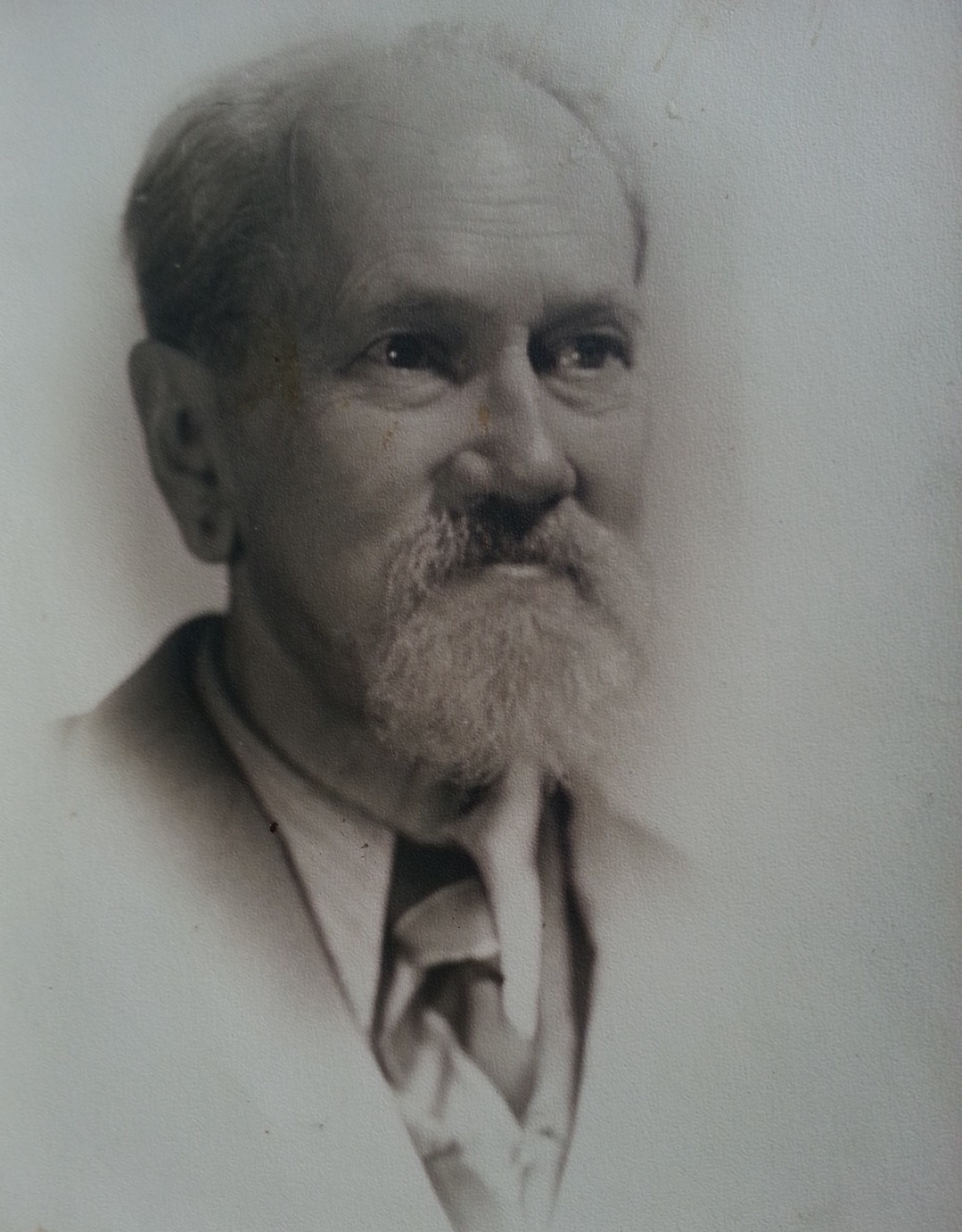 н п работина