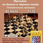 Познавательная программа к Международному дню шахмат «Прогулки по белым и чёрным полям»