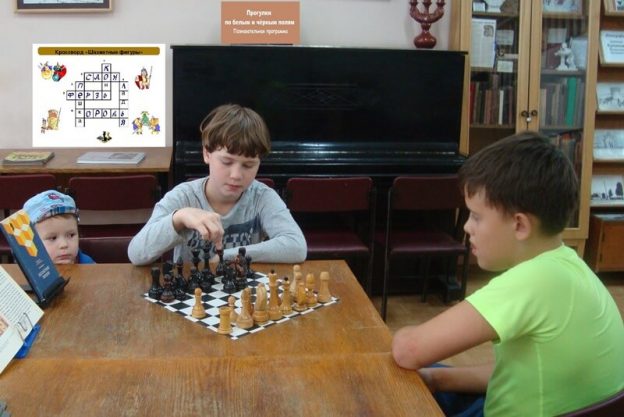 «Прогулки по белым и чёрным полям», познавательная программа