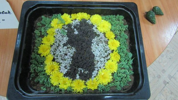 «Цветочная сказка», интерактивная программа