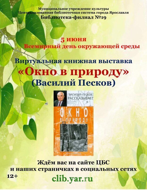 Окно в природу