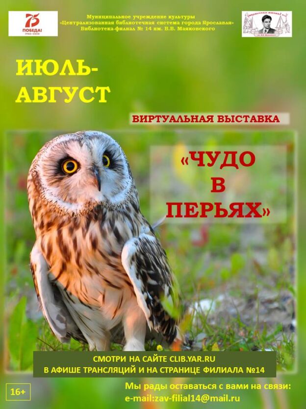 Чудо в перьях