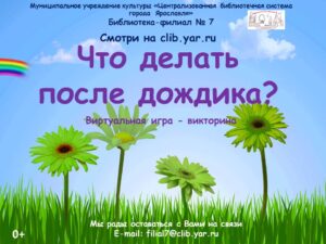 Что делать после дождика?