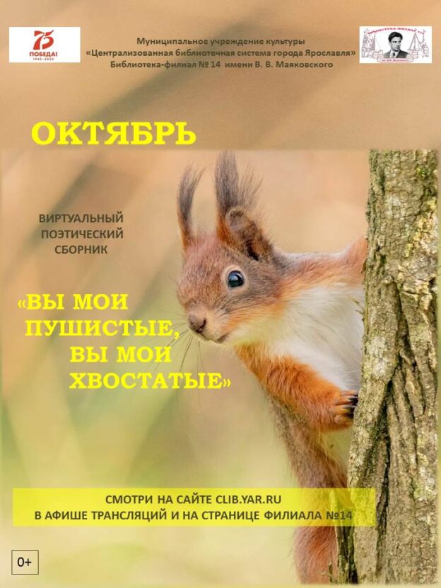 Вы мои пушистые, вы мои хвостатые