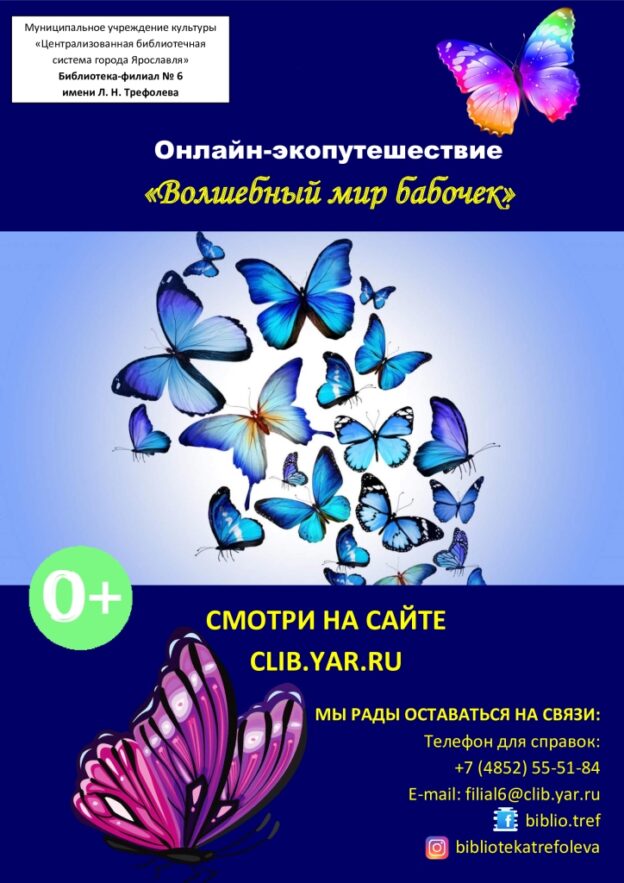 Волшебный мир бабочек