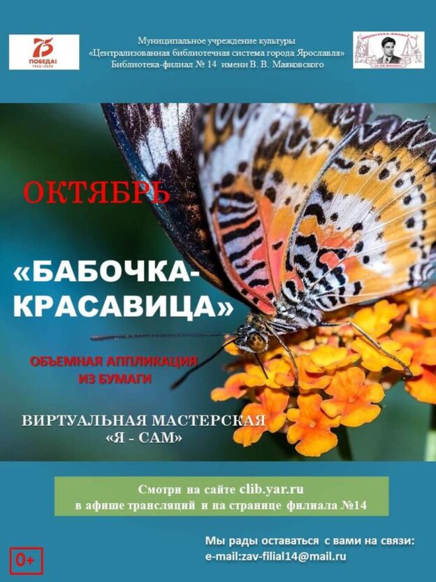 Объёмная аппликация из бумаги «Бабочка-красавица»