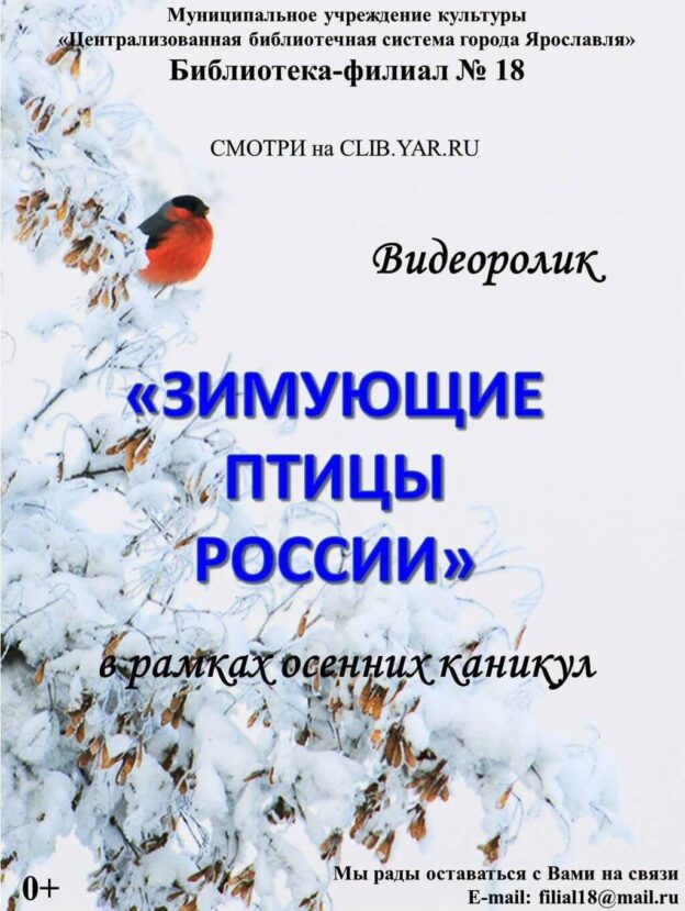 Познавательный видеоролик «Зимующие птицы России»