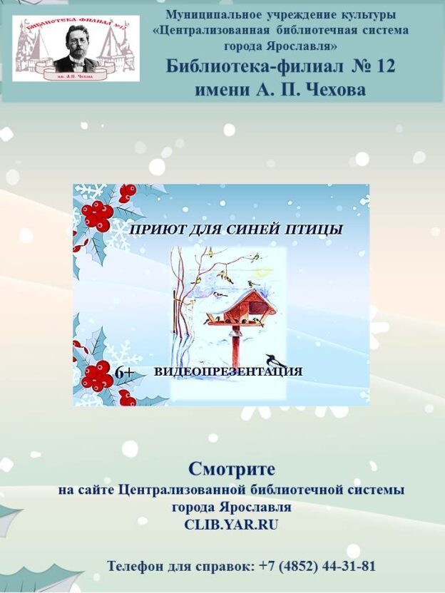 Видеопрезентация «Приют для синей птицы»