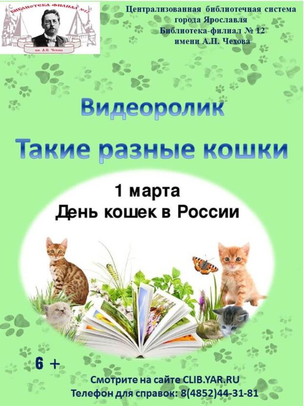 Видеоролик «Такие разные кошки»