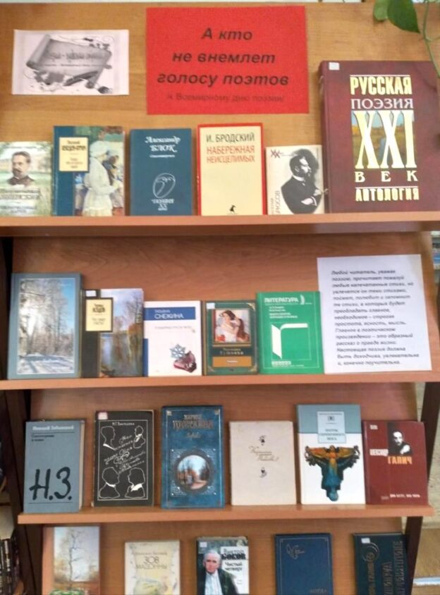 «А кто не внемлет голосу поэтов…», тематический день