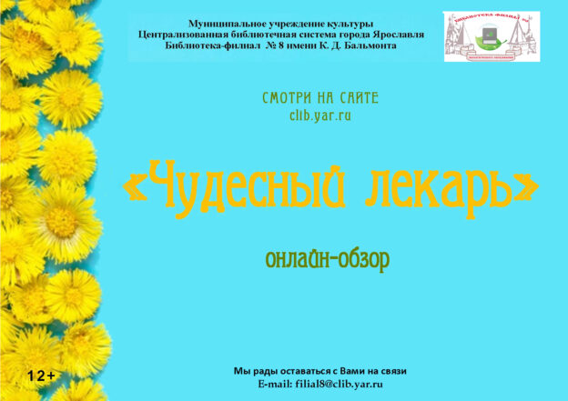 Онлайн-обзор «Чудесный лекарь»