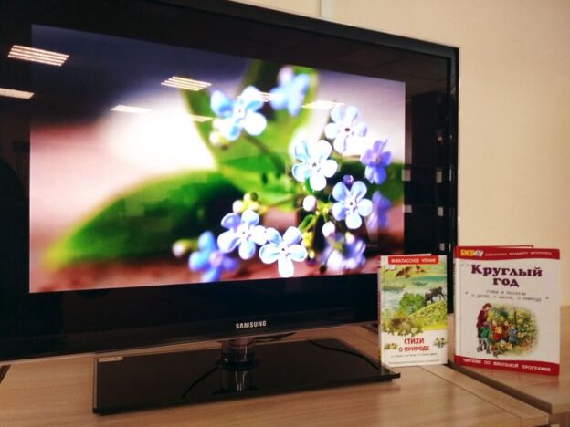 «О, весна без конца и без краю…», тематический день