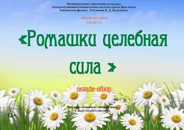 Онлайн-обзор «Ромашки целебная сила»