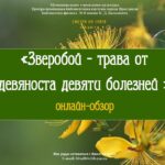 Онлайн-обзор «Зверобой — трава от девяноста девяти болезней»