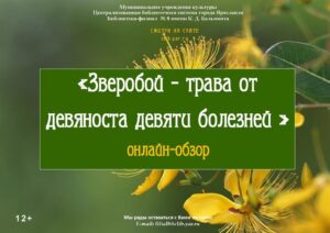 Онлайн-обзор «Зверобой — трава от девяноста девяти болезней»
