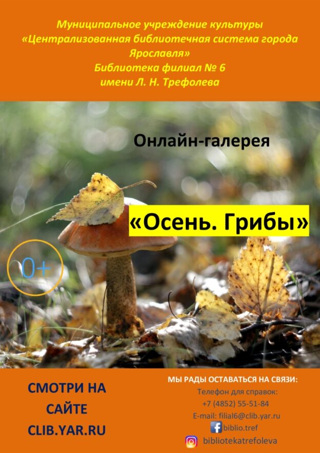 Онлайн-галерея «Осень. Грибы»