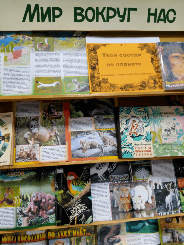 События библиотеки-филиала № 4 за октябрь 2021 года