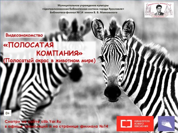 Видеознакомство «Полосатая компания»