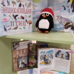 «Один день из жизни пингвинов», экологическая панорама