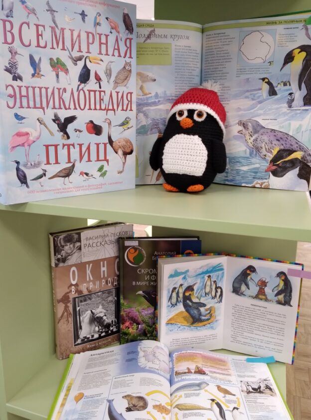 «Один день из жизни пингвинов», экологическая панорама