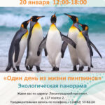 Экологическая панорама «Один день из жизни пингвинов»