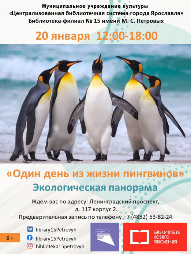 Экологическая панорама «Один день из жизни пингвинов»