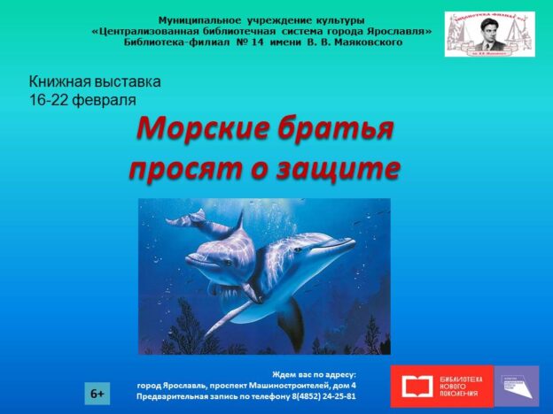 Книжная выставка «Морские братья просят о защите»