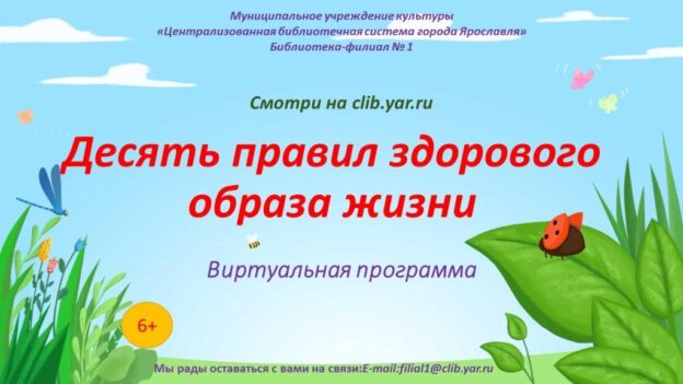 Виртуальная программа «Десять правил здорового образа жизни»