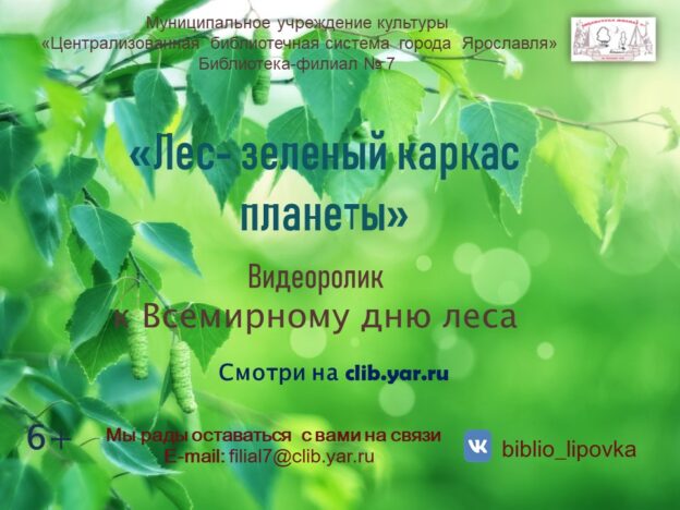 Видеоролик «Лес – зеленый каркас планеты»