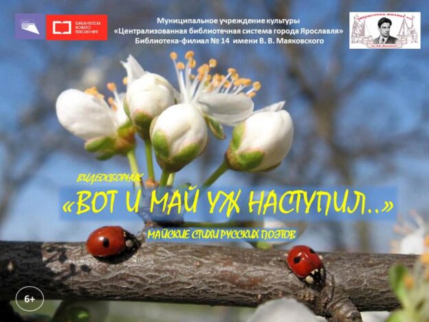 Видеосборник «Вот и май уж наступил»