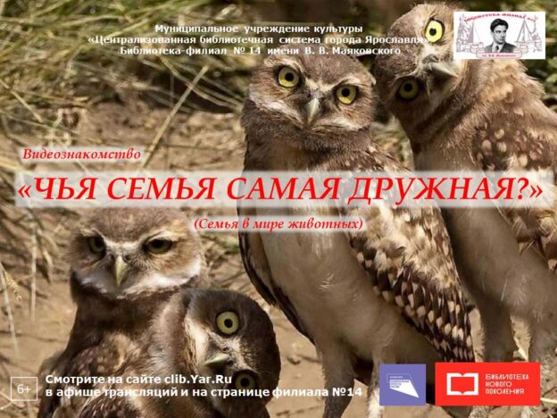 Видеознакомство «Чья семья самая дружная?»