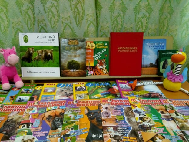 «И вновь о тех, кто рядом с нами» тематический день