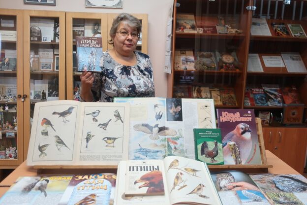 «В царстве зимних птиц», панорама экологических знаний