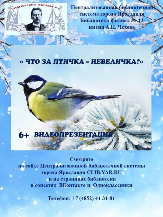 Видеопрезентация «Что за птичка-невеличка?»