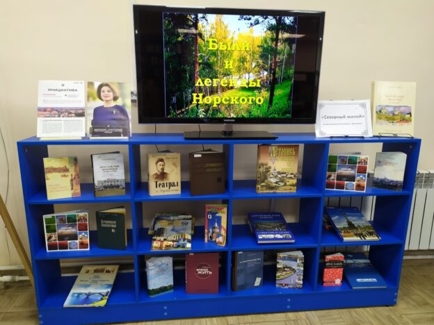 «Северный жилой», День Дзержинского района