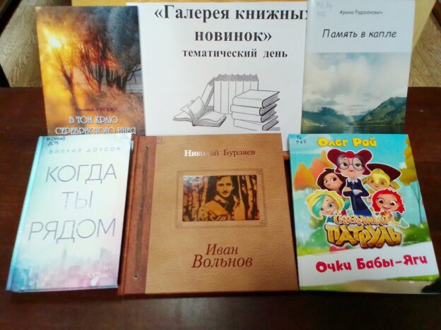 «Галерея книжных новинок», тематический день