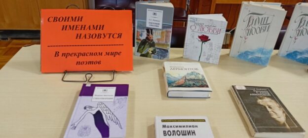 «Поэзия — великая страна!», тематический день