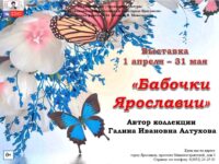 Выставка энтомологической коллекции Галины Алтуховой «Бабочки Ярославии»