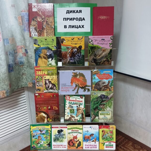 «В мире животных», тематический день