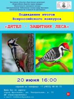 Встреча по подведению итогов Всероссийского конкурса «Дятел — защитник леса»