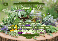 Час здоровья «Есть в травах и цветах целительная сила» 12+